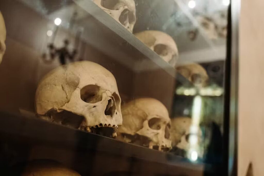 Teschi nella Cripta della Chiesa di Santa Maria dell'Orazione e Morte 